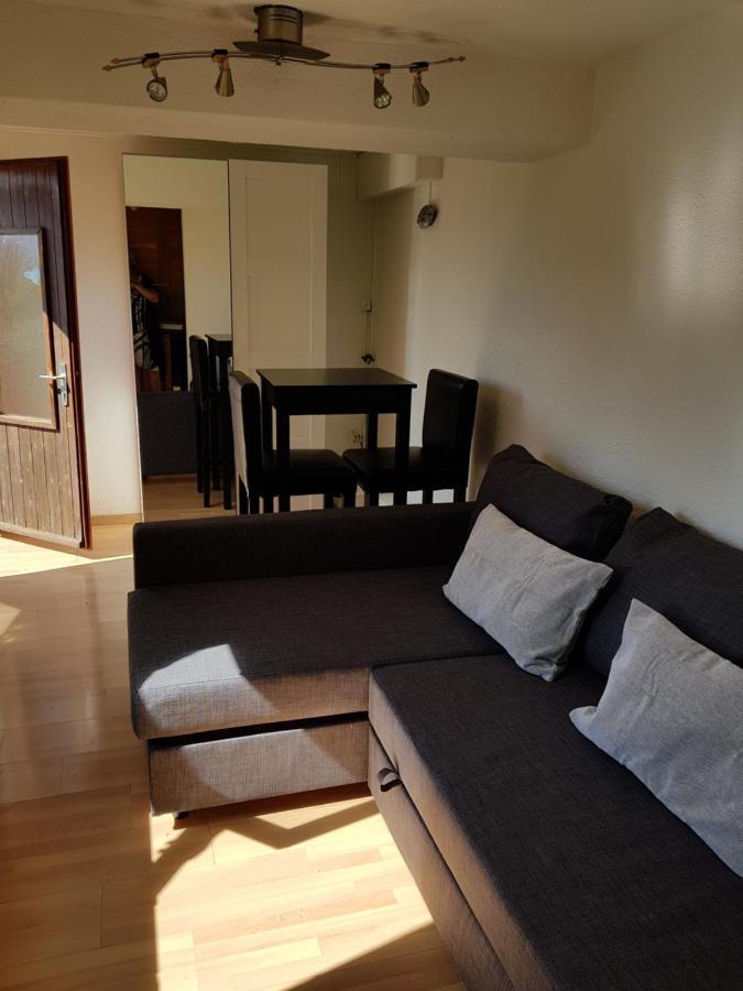 Willa Chalet Le Muguet Ovronnaz Zewnętrze zdjęcie